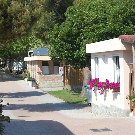 Camping Vallecrosia Exterior photo